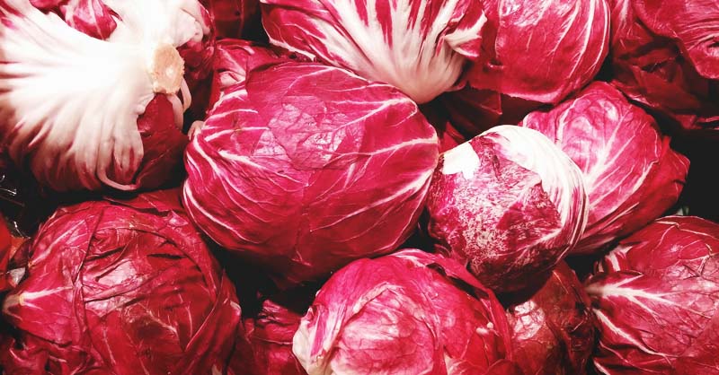 Il radicchio